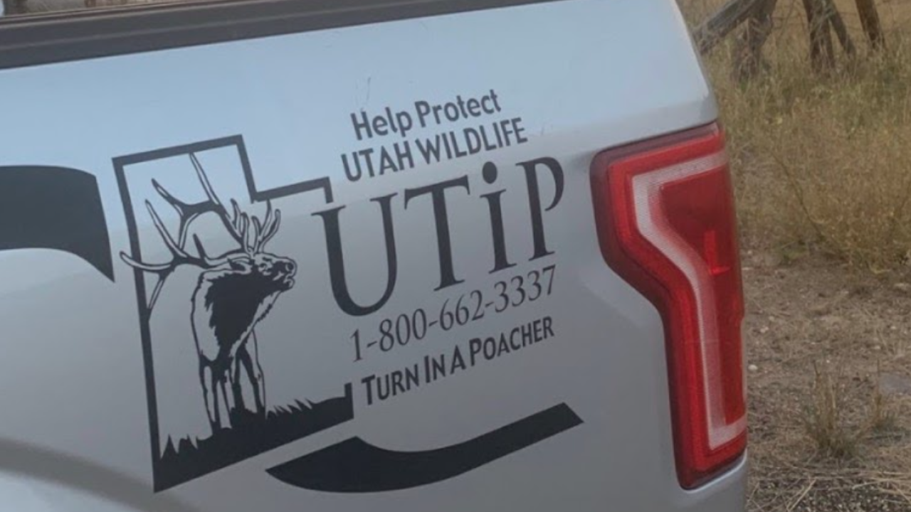 DWR On Lookout For Poachers During Hunting Season DWR On Lookout For Poachers During Hunting Season